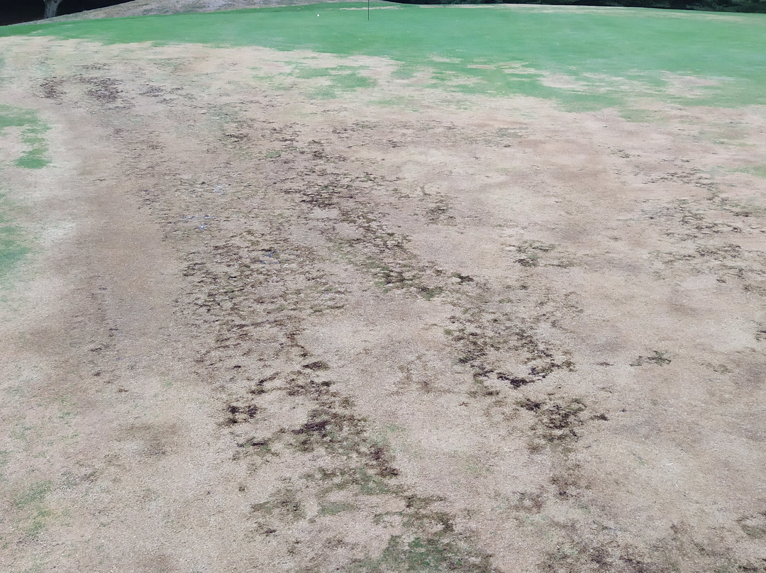 Golf de la Forêt d'Orient-Rouilly Sacey必去景点