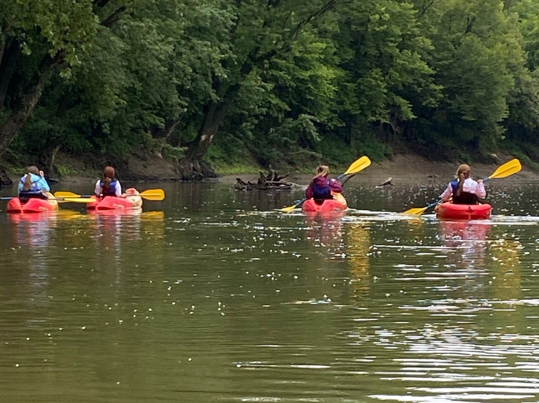 Auglaize Canoe & Kayak景点图片