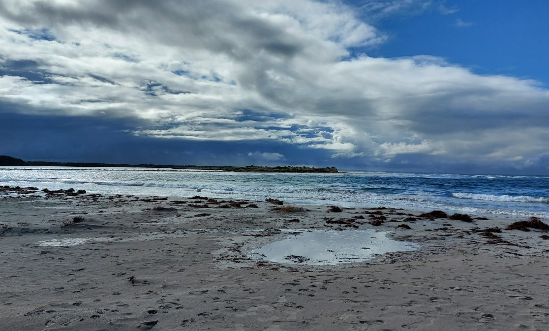 Blackwood River Foreshore景点图片