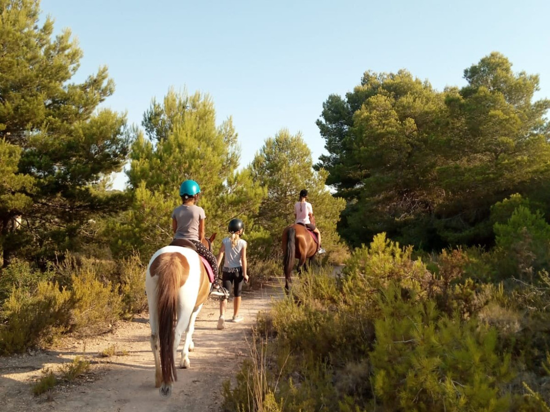 Club Hipic Riding Team Calpe-卡尔佩必去景点