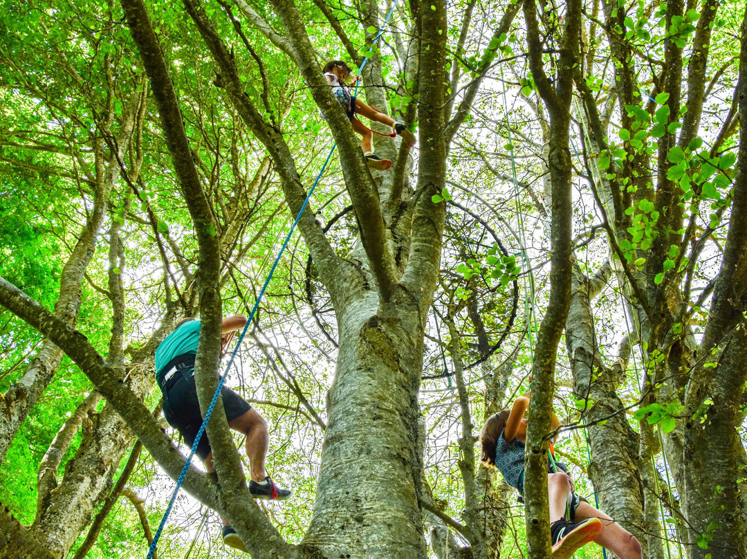 Association Chioula Activités Nature-Ignaux必去景点