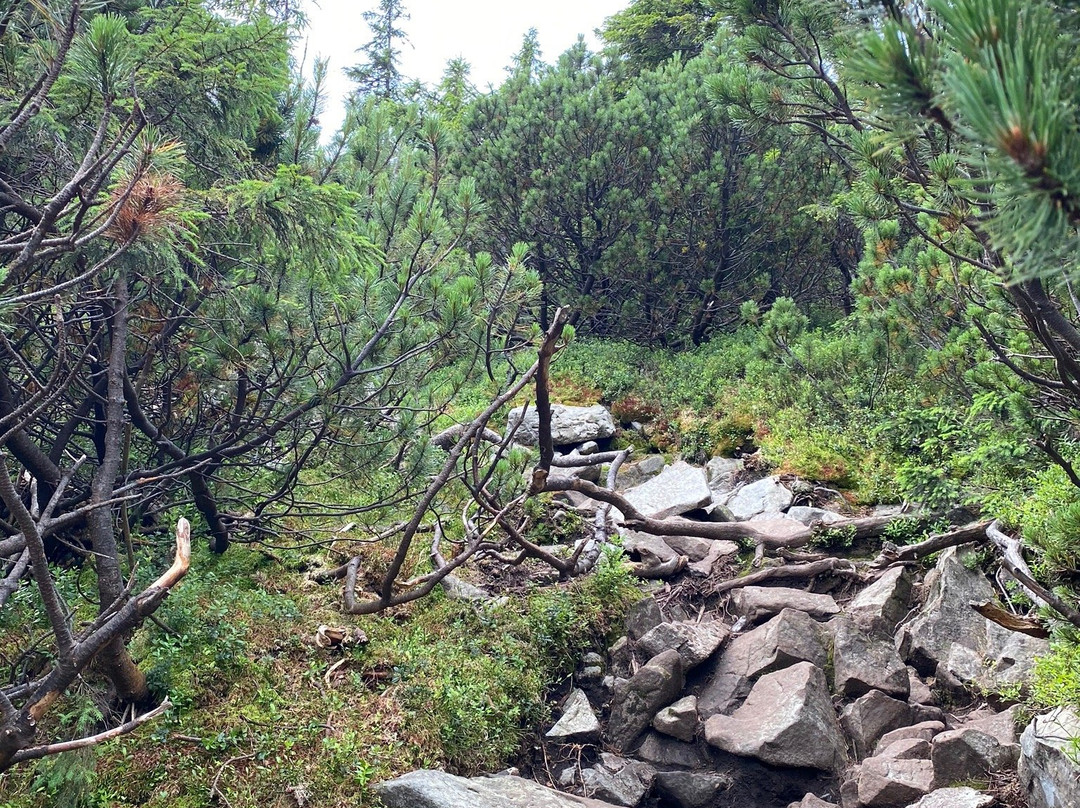 Mount Khomyak景点图片