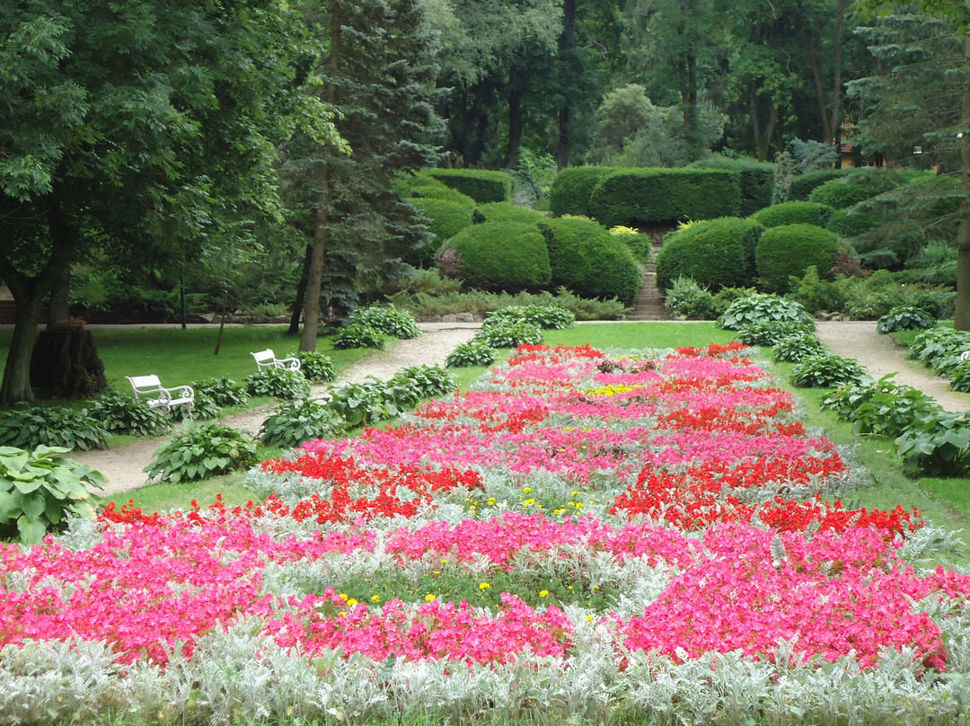 Park Zdrojowy景点图片