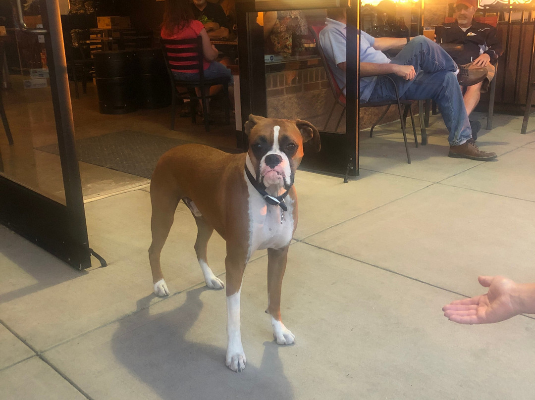 3 Freaks Brewery-海兰兹兰奇必去景点