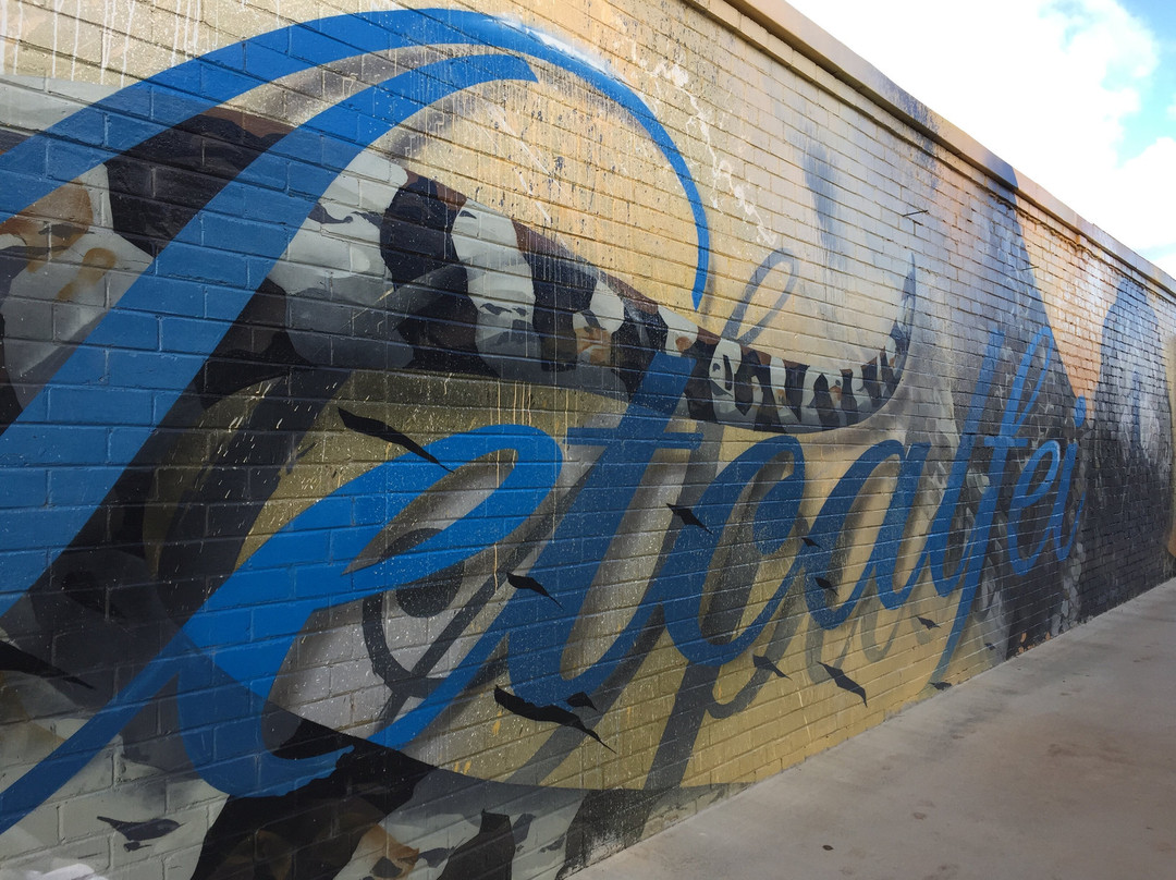 Sirum Snake Mural-Woomelang必去景点