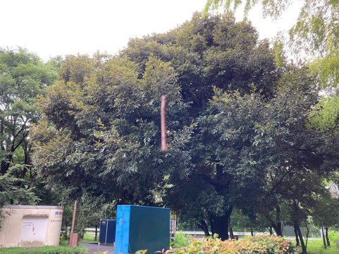 Kitamoto Nature Observation Park-北本市必去景点