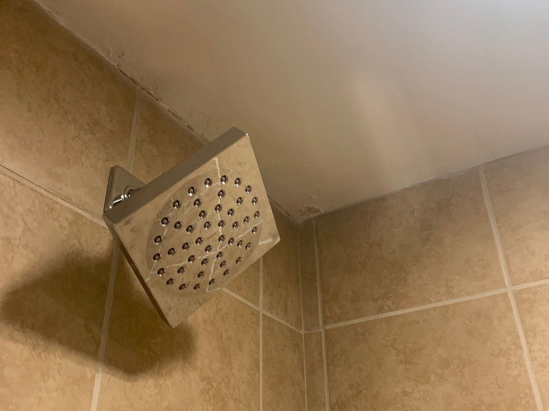 voco The Tiger Hotel Columbia by IHG主图