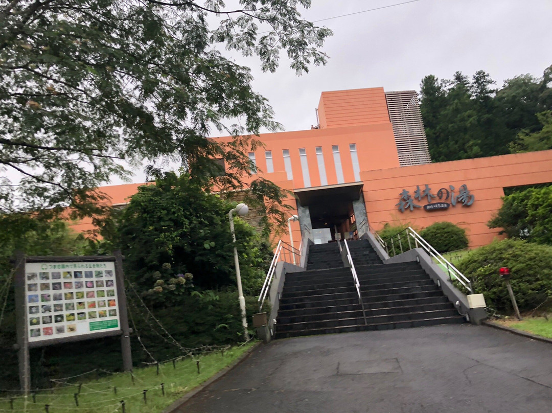 嬬恋YAMAHA度假酒店主图