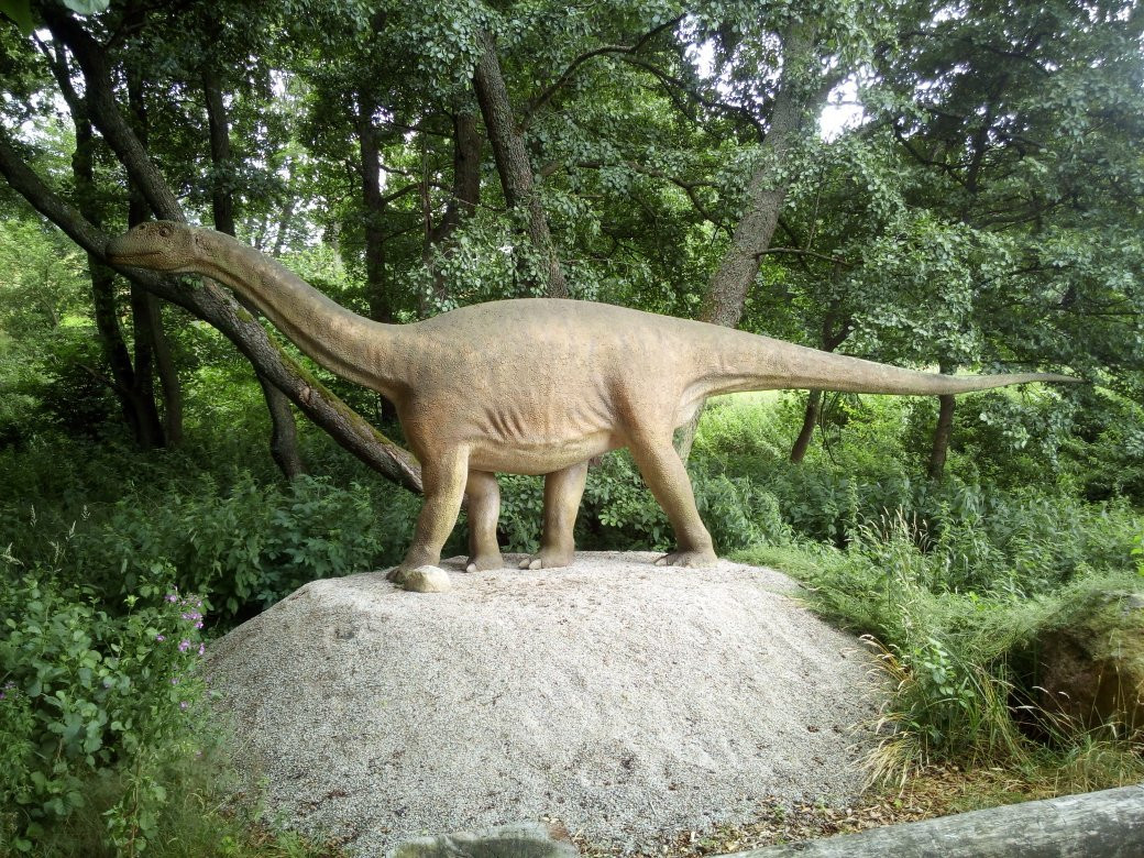 Park Ewolucji-Slawatowko必去景点