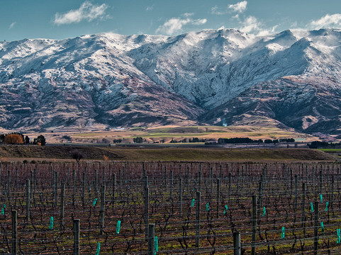 Wineberry Tours-瓦纳卡必去景点