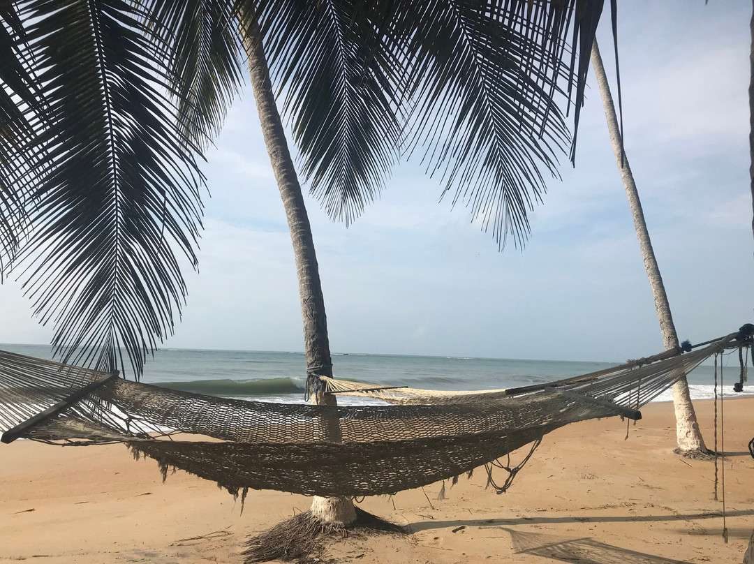 Brenu Beach Lodge主图
