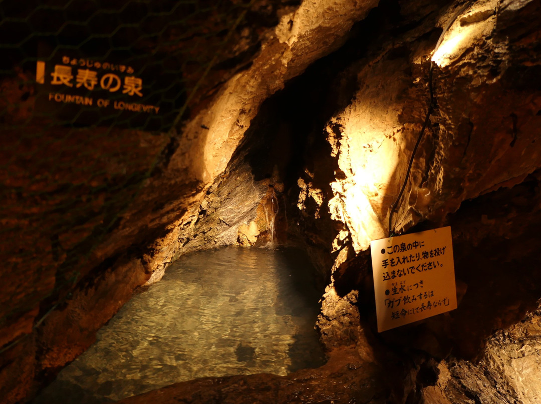 Ryugashido Cavern景点图片