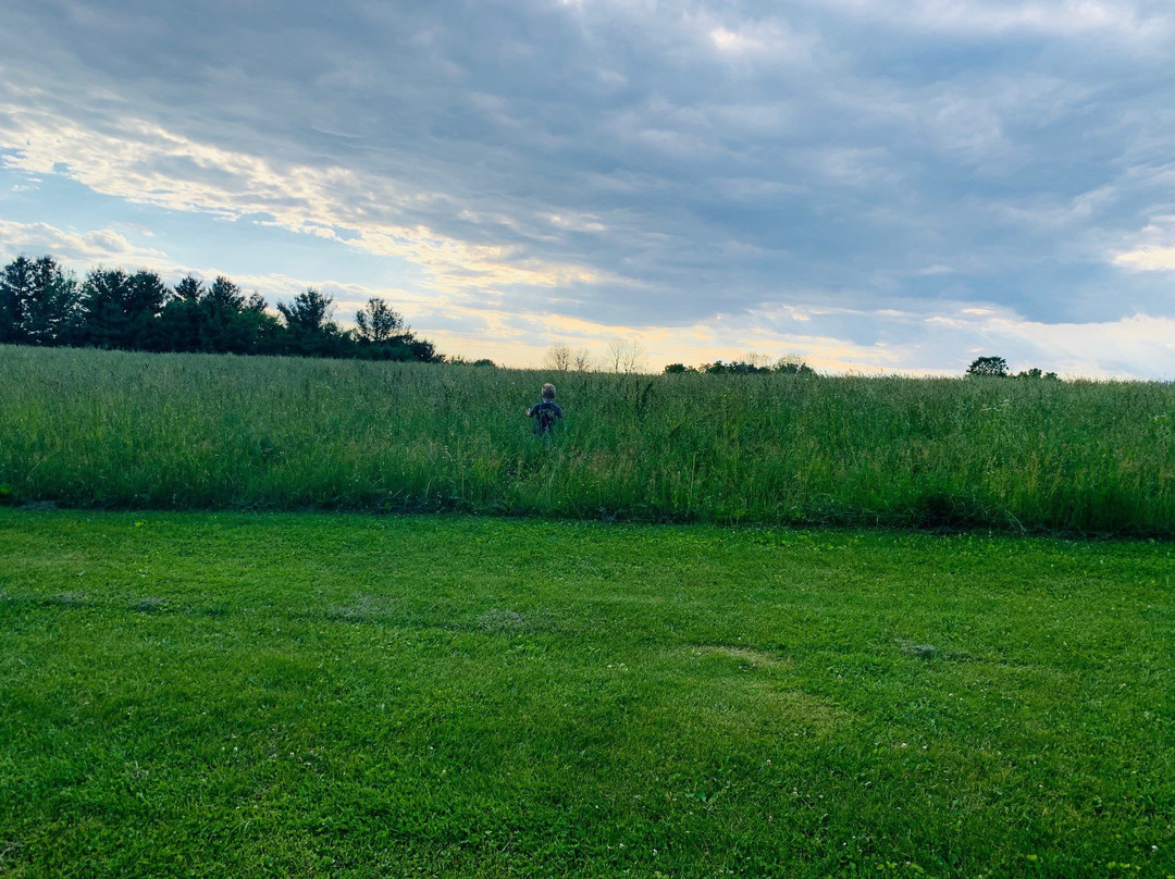 The Country Experience主图