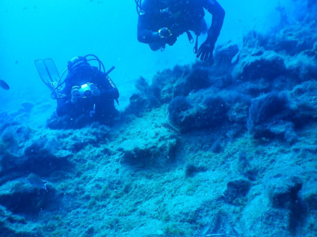Alisios Sub Centro de Buceo-卡门港必去景点