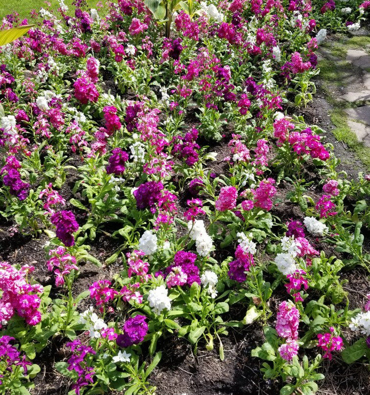 Bear Creek Park-素里必去景点