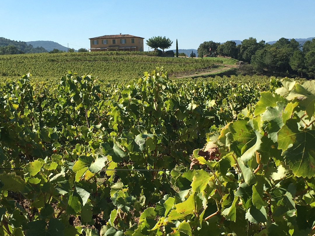 Wine Tours Provence & Riviera-Cogolin必去景点