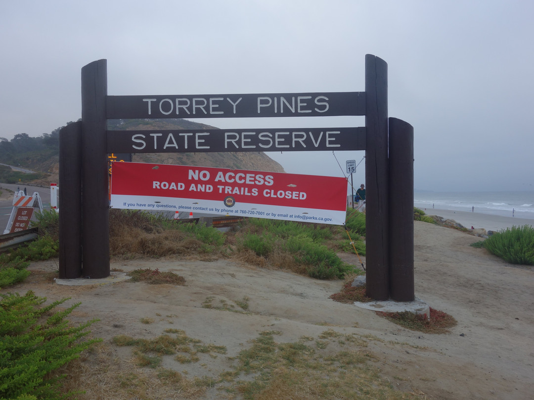 Torrey Pines State Beach景点图片