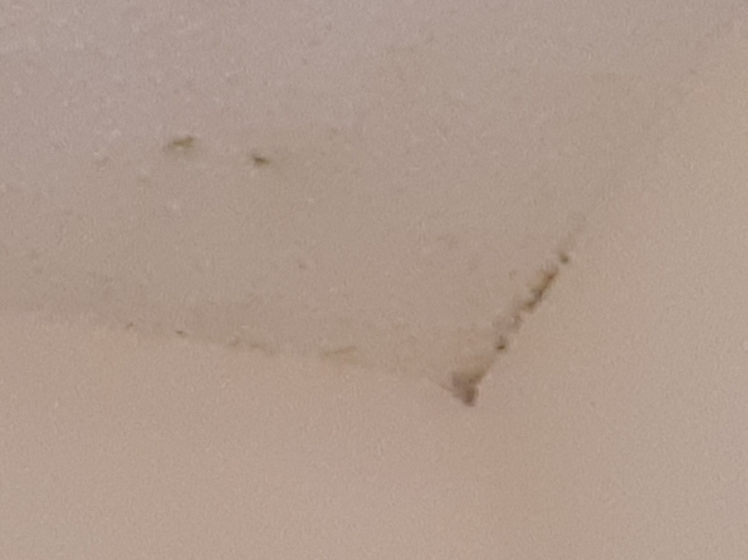 Sure Stay Plus By Best Western St Marys主图