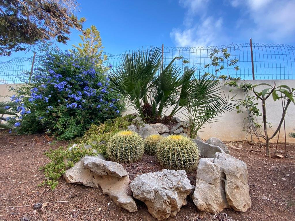 B&B "Perla del Sud"主图