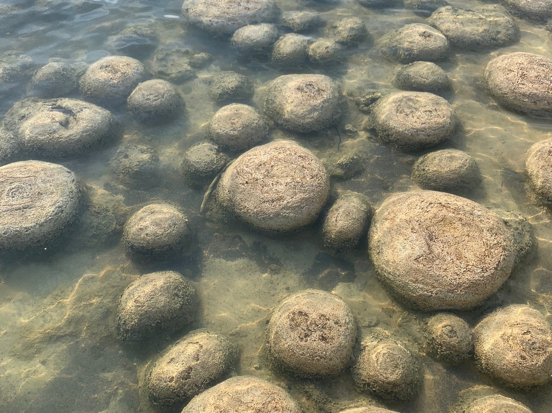 Yalgorup National Park-曼杜拉必去景点