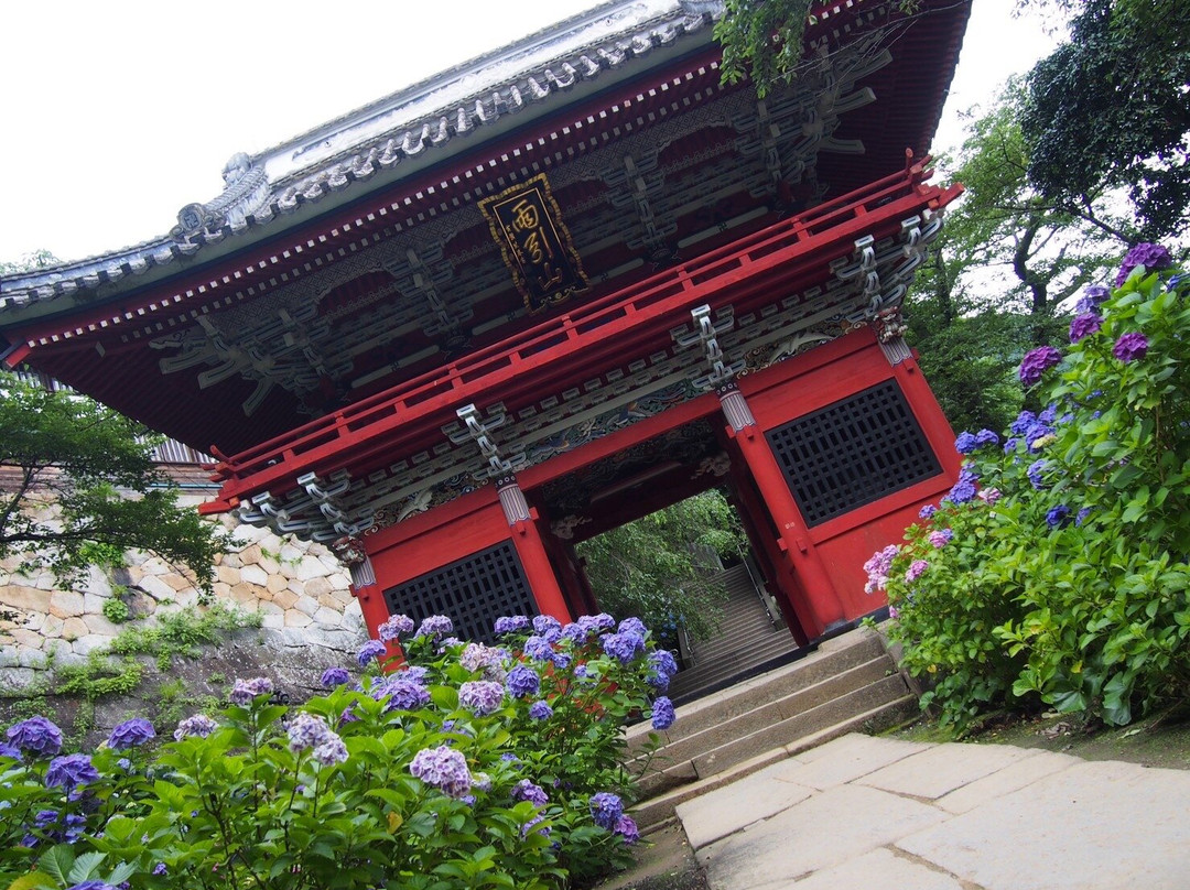Amabiki Kannon-樱川市必去景点