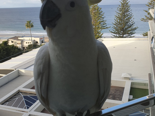 诺富特酒店卧龙岗北岸主图