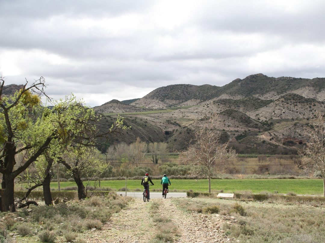 FiteBike Rutas Guiadas y Alquiler-Fitero必去景点