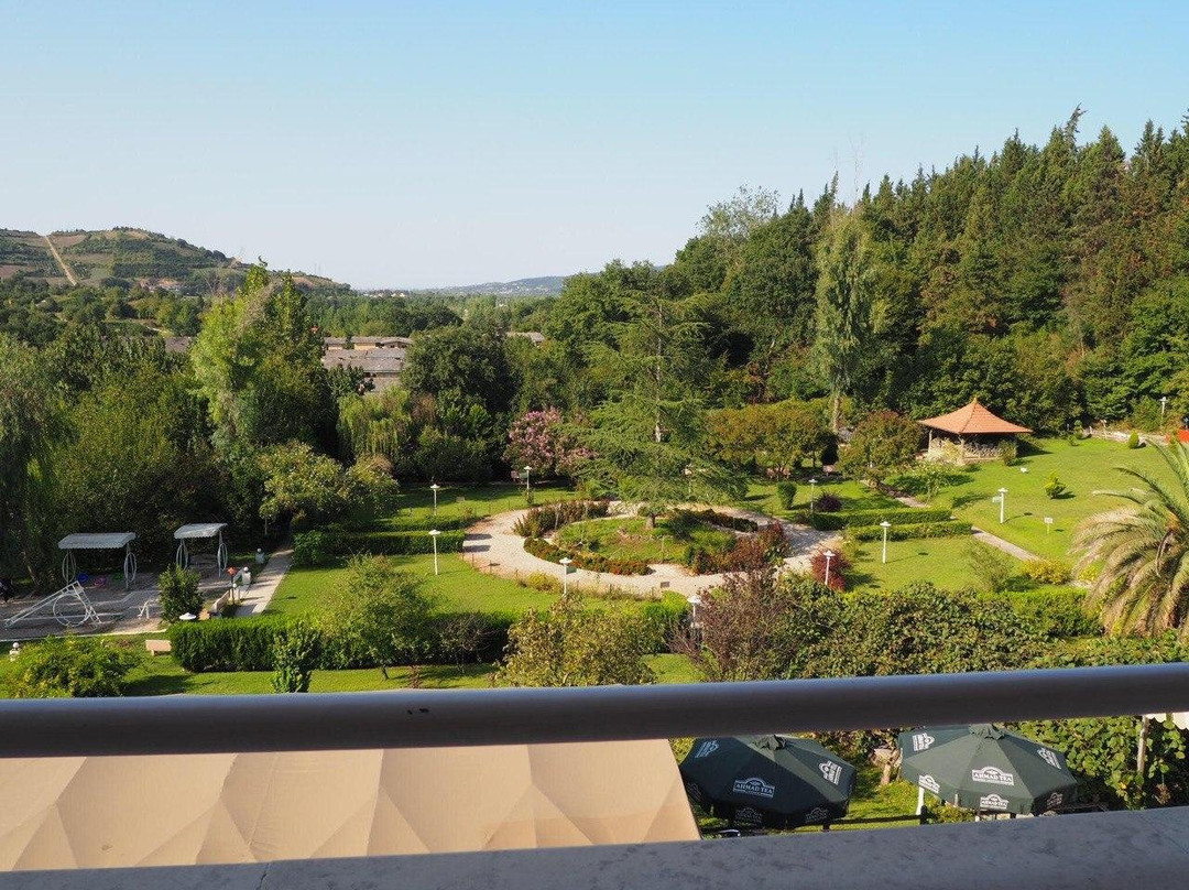 Salar Darreh Hotel主图