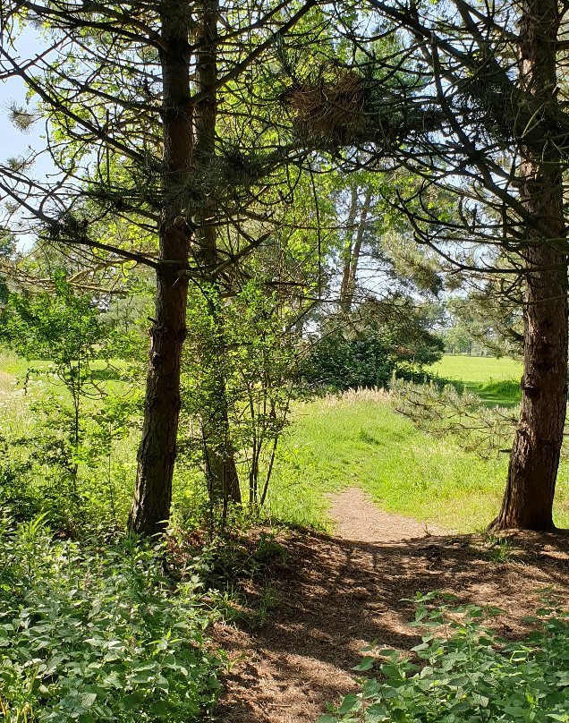 Wigmore Valley Park景点图片