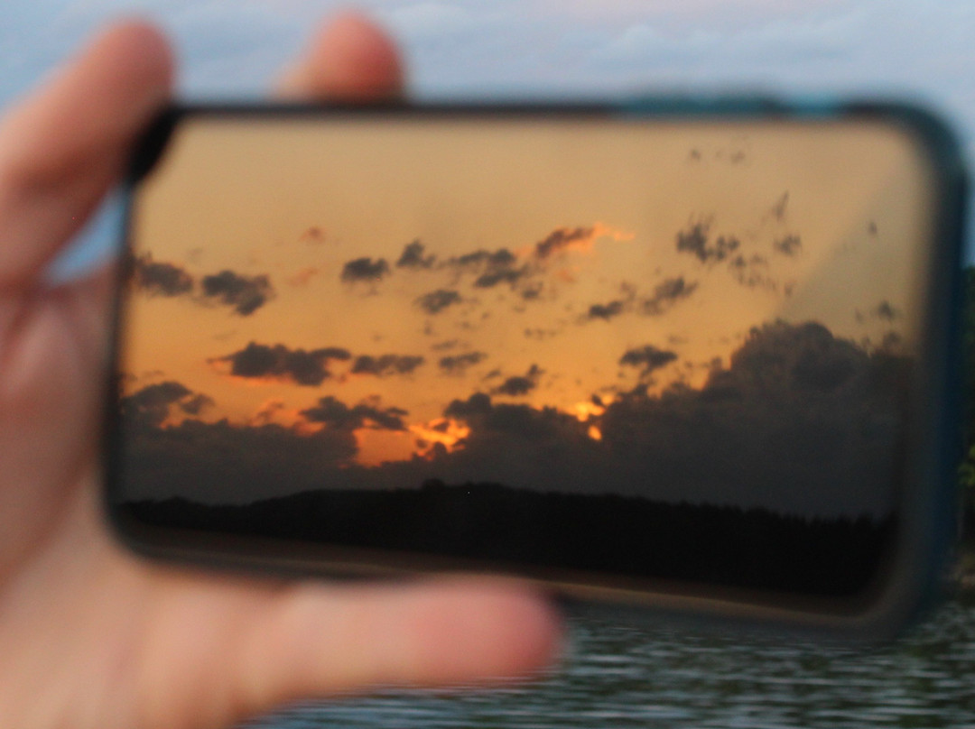 Lake Hartwell Boat Tours-Lavonia必去景点