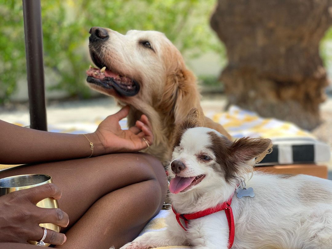 小马山林小屋酒店主图
