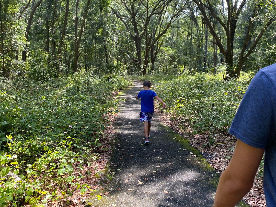 2023年12月Ringhaver Park/Ortega River Nature Preserve景点攻略Ringhaver Park