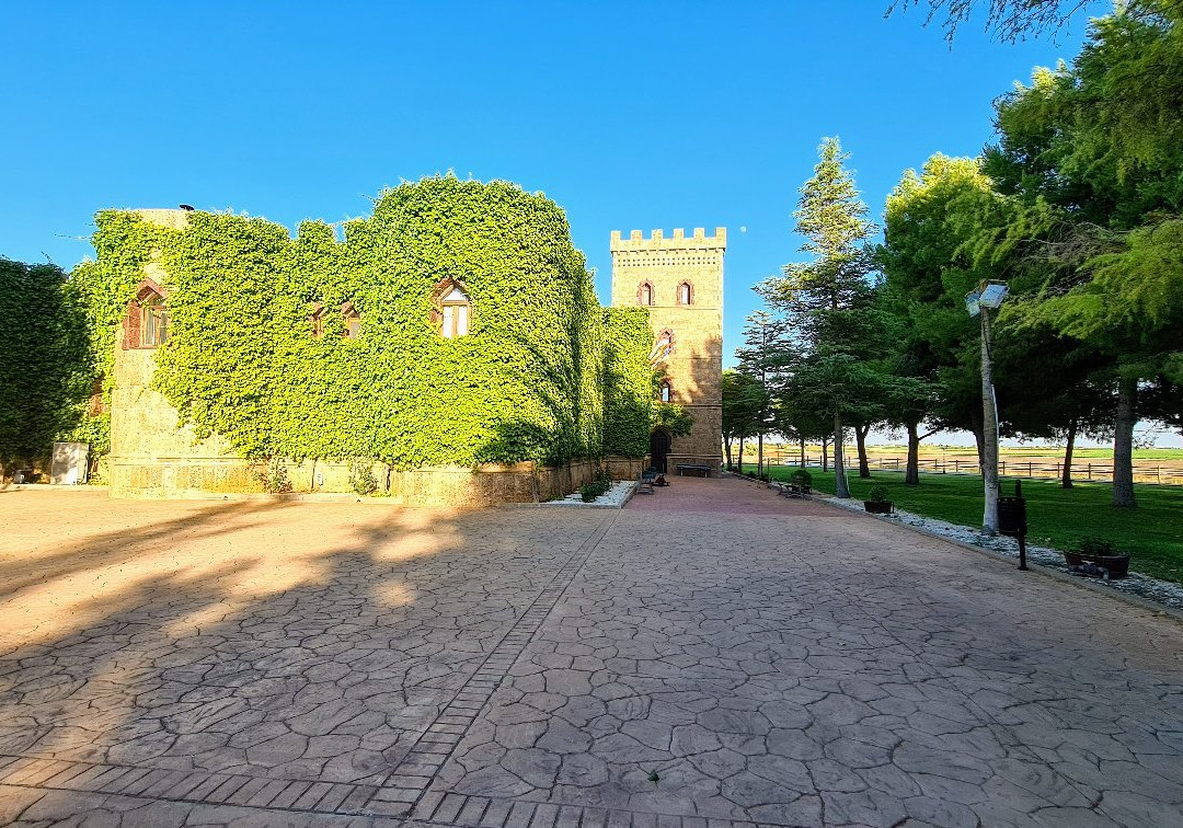 Vinedos y Bodegas El Castillo主图