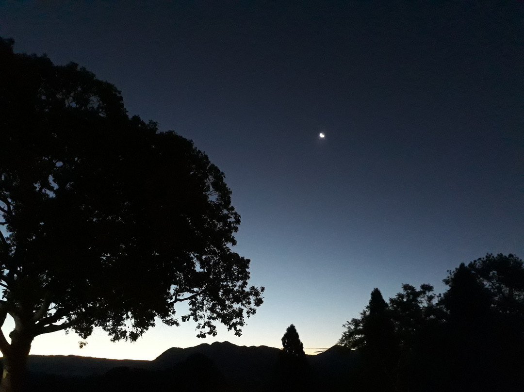 The Lodge Bellingen主图