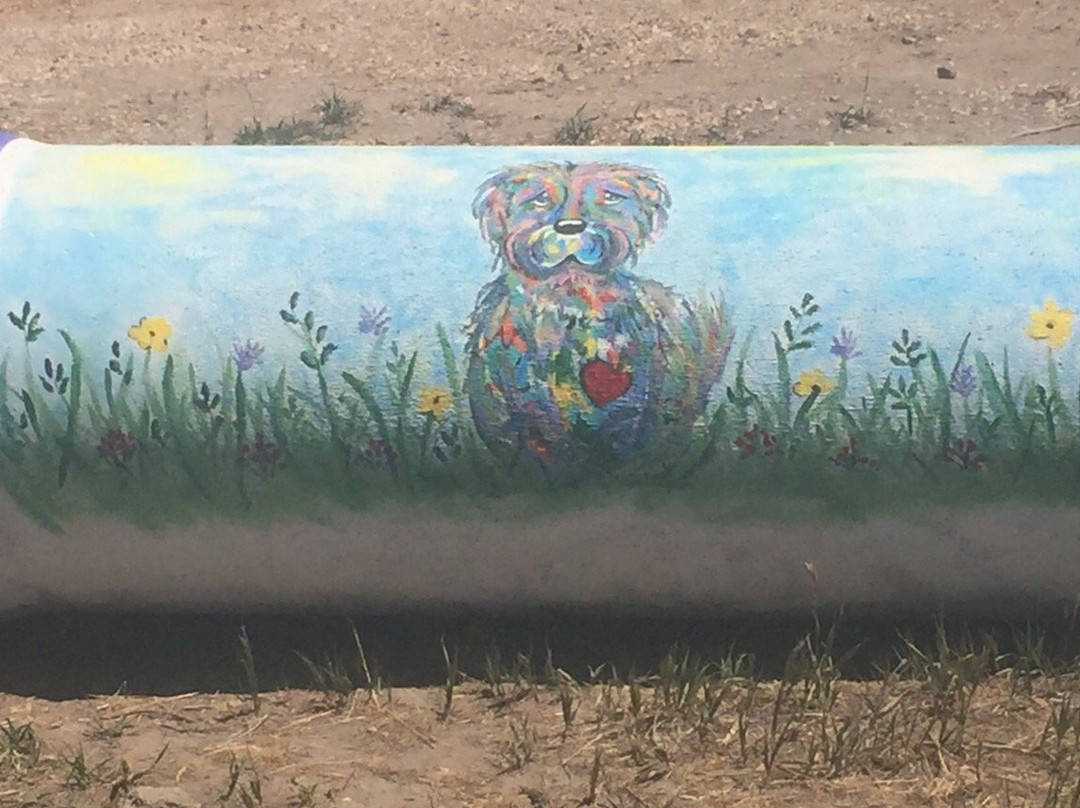 Midway City Dog Park景点图片