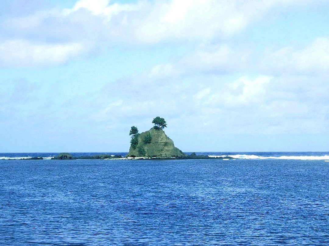 Bay des Tortues Turtle Bay-塔纳岛必去景点