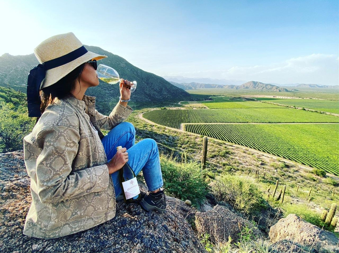 Chañarmuyo Bodega y Casa de Huéspedes