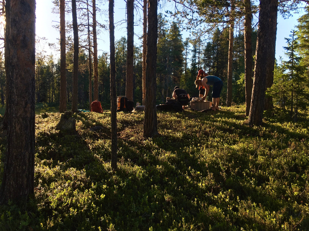 Laponia Adventures景点图片