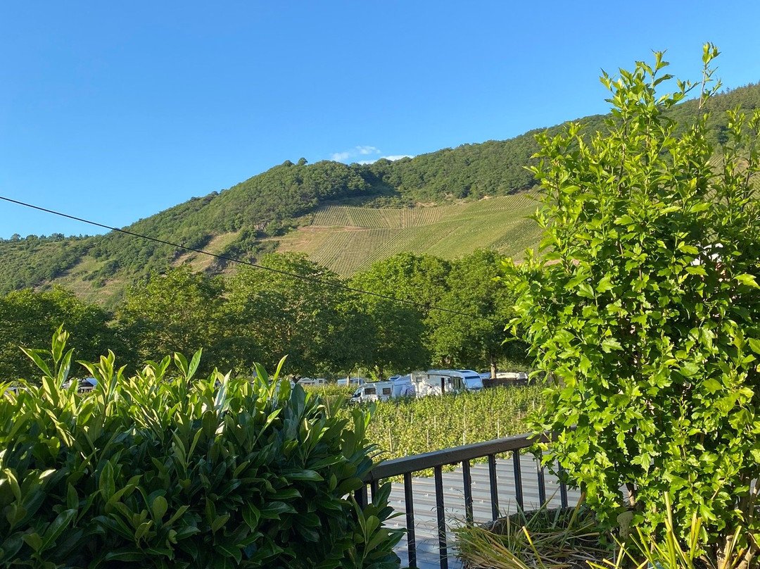 Weingut & Gäestehaus Christoph Clüesserath主图