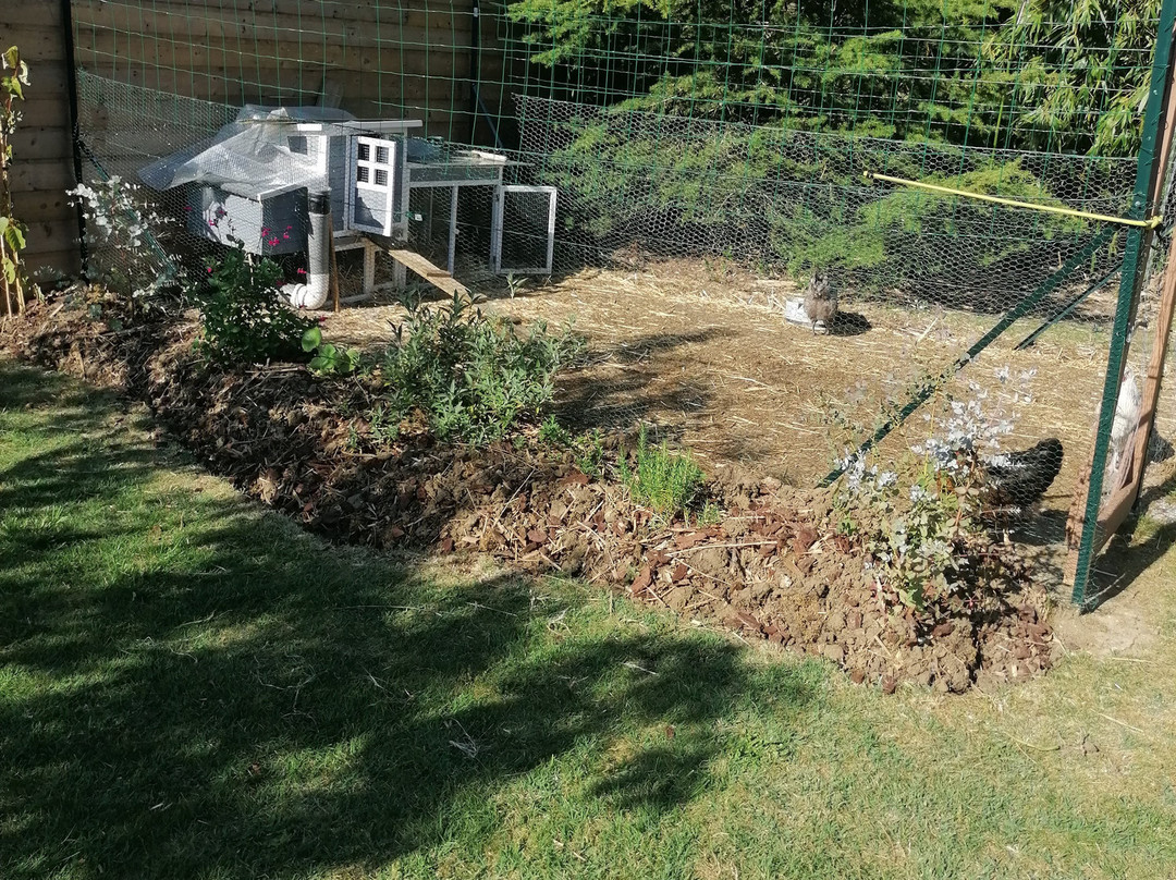 Le Petit Radieux主图