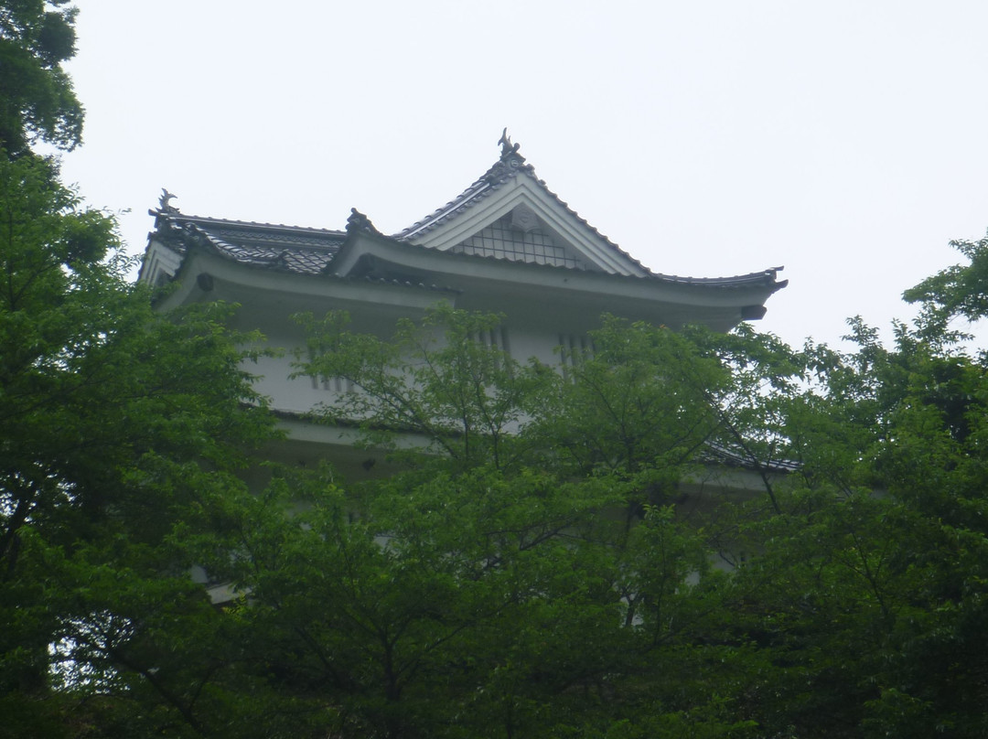 Ebi Castle Ruins景点图片
