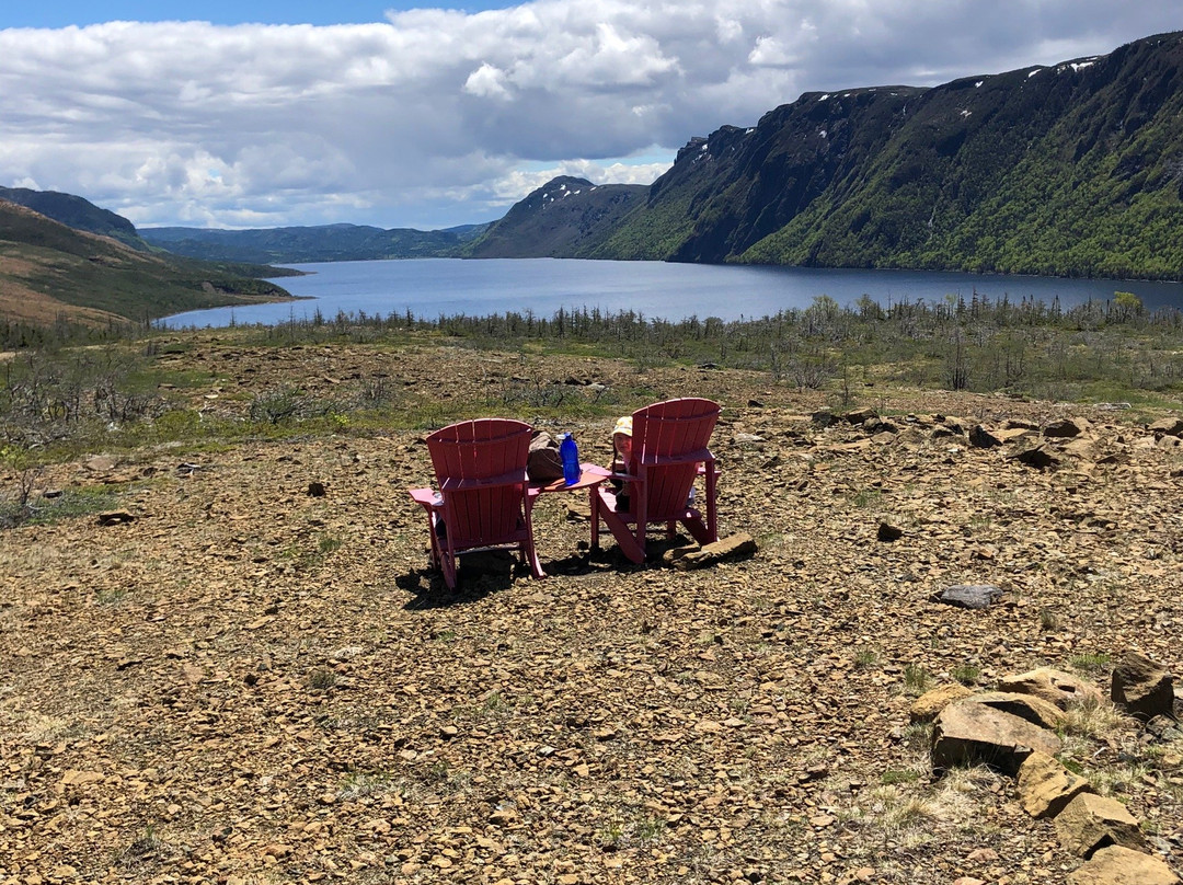 Trout River Pond景点图片