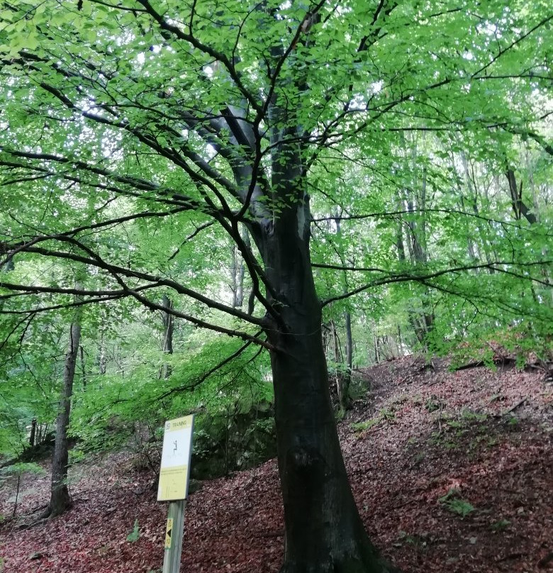 Sentiero 154 Giro del Sole E della Luna-Agra必去景点