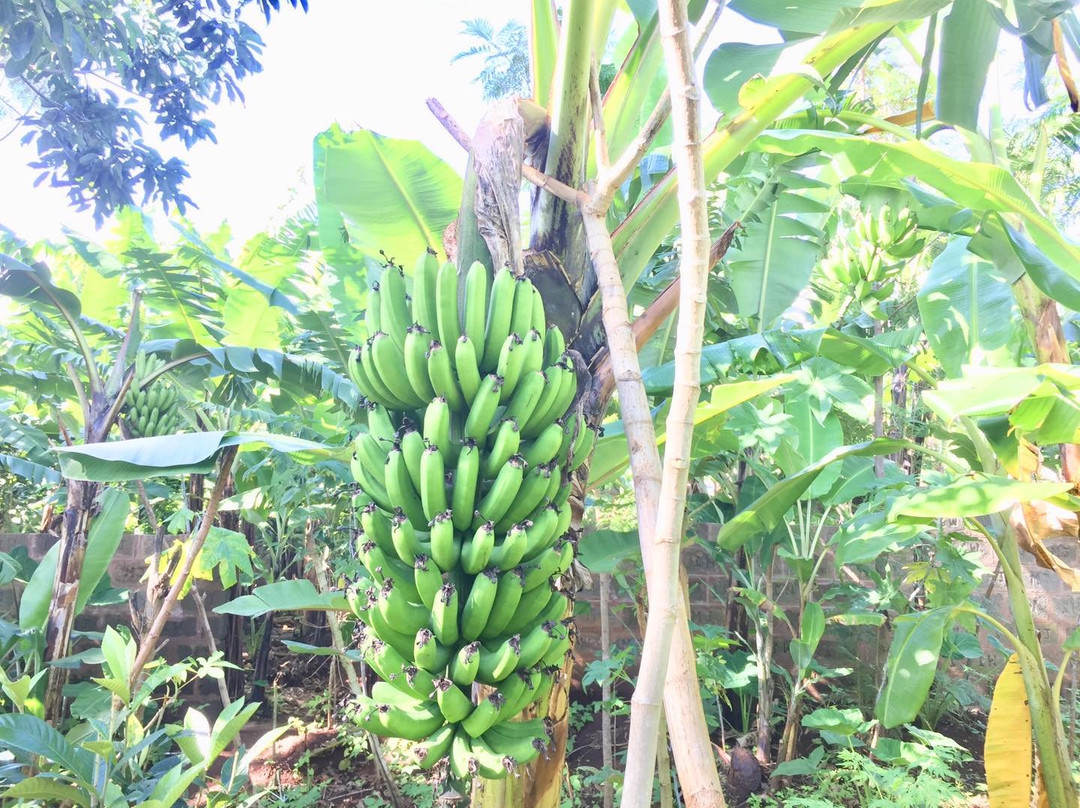 Mkuu旅游攻略图片