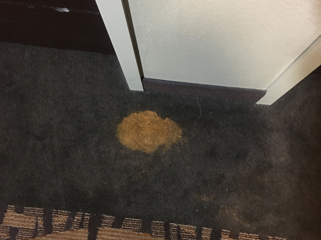 Sleep Inn & Suites Jasper I-22主图