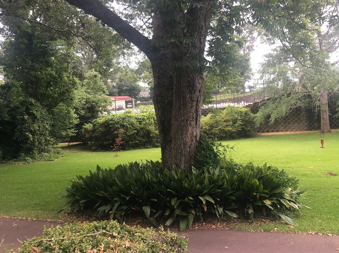 Clermont Bluffs Bed and Breakfast主图