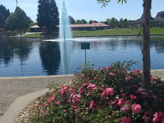 Sunnyvale Community Center Park-森尼韦尔必去景点