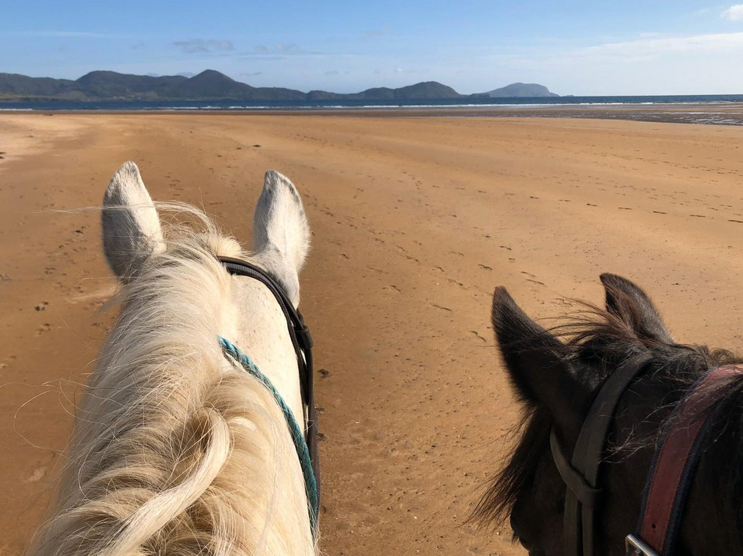 Killarney Riding Stables-基拉尼必去景点