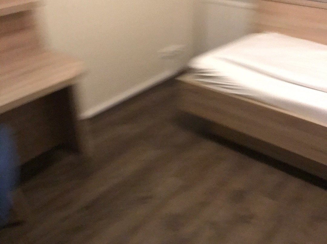 Schwarzer Adler主图