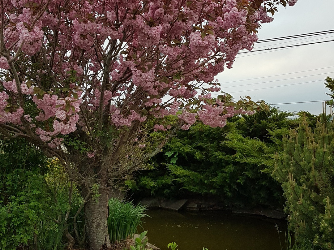 Annapolis Royal Inn主图